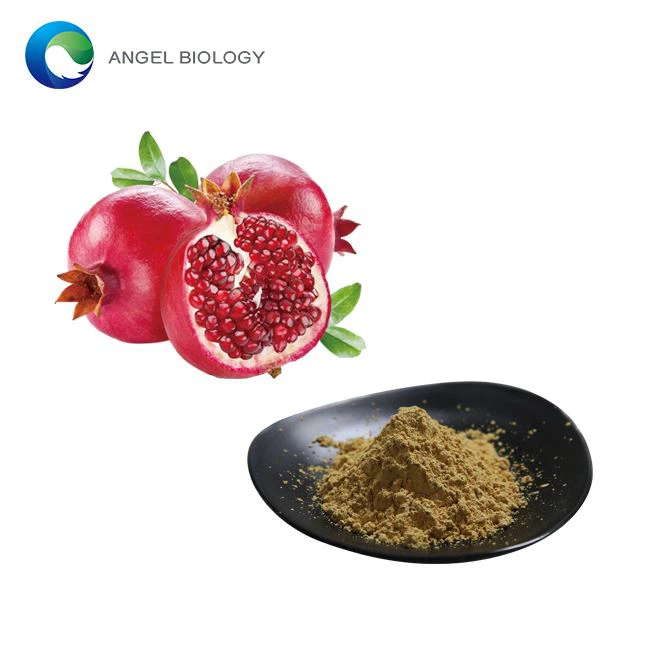 What is Punicalagin Powder Good For?